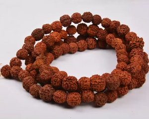 AstroQuest Product - 108 Rudraksha Mala
